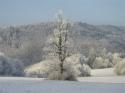 Naša obec objektívom občanov 1/2011 Naša obec objektívom občanov 1/2011